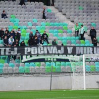 olimpija green dragons
