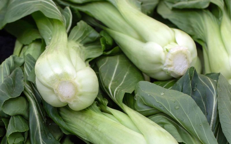 pak-choi